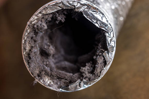 Best Emergency Air Duct Cleaning  in West Slope, OR